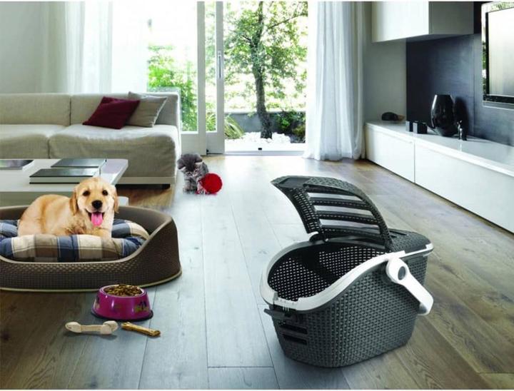 Image du produit Curver Boîte de transport (Chat, Chien, Ouverture complète)