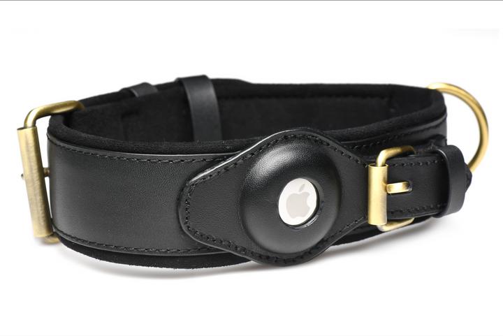 Actual product image Master Series Tracer - Tracking Collar