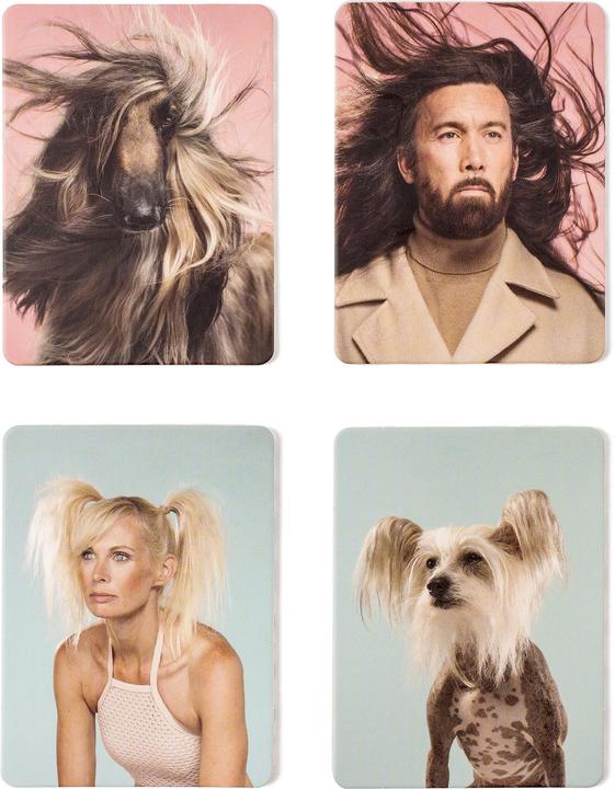 Produktbild Memory Memory Siehst du aus wie dein Hund? (Deutsch)