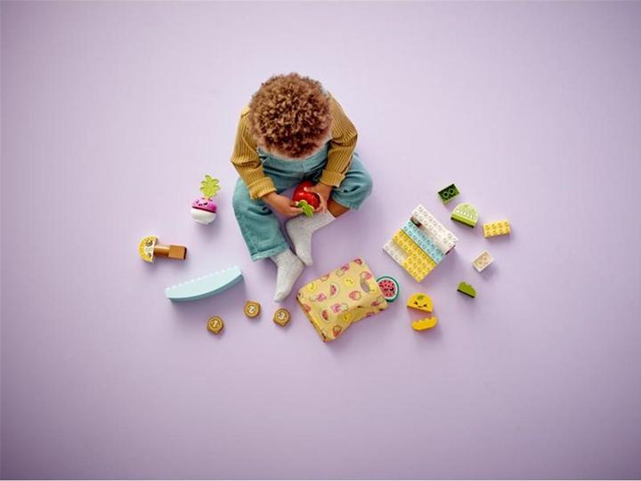 Actual product image LEGO Organic market (10983)