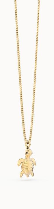 Image du produit MTM Collier Tortue de mer (Laiton, Or 18k, 43 cm)