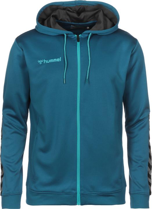 Immagine prodotto hummel hmlAUTHENTIC Poly Track Jacket Uomo (M)