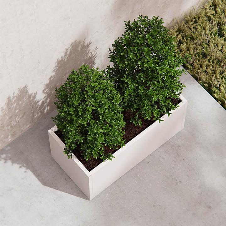 Image du produit Herstera Planter
