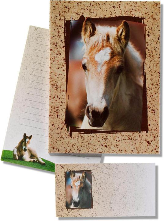 Produktbild Roost Briefpapier Fohlen (10 Stk.)