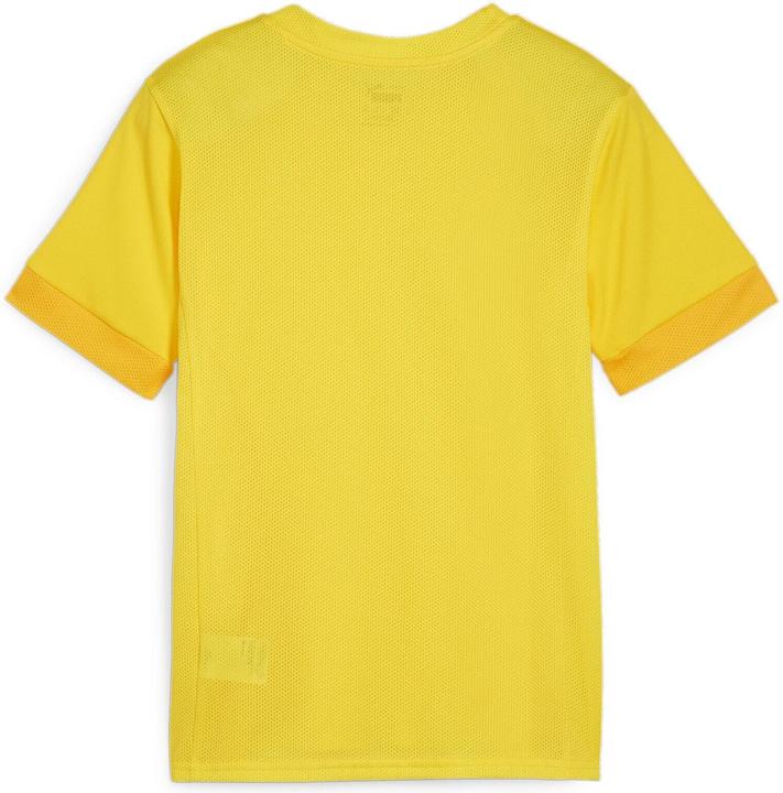 Actual product image Puma teamGOAL Matchday Jersey jr (140)