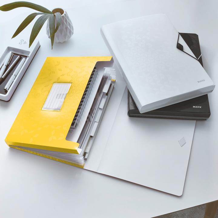 Produktbild Leitz WOW - Projektmappen (A4, 1 x)