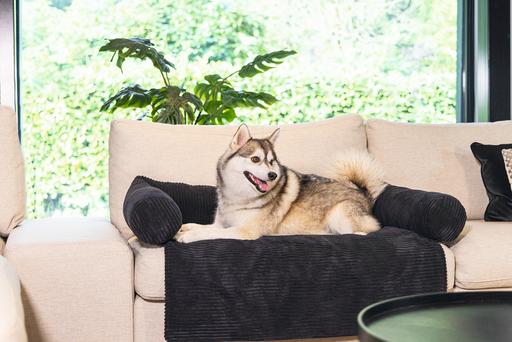 Image du produit Designed by Lotte Coussin de canapé Ribbed (Chien)