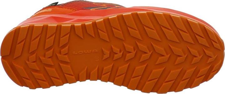 Immagine prodotto Lowa Ferrox GTX LO (39)