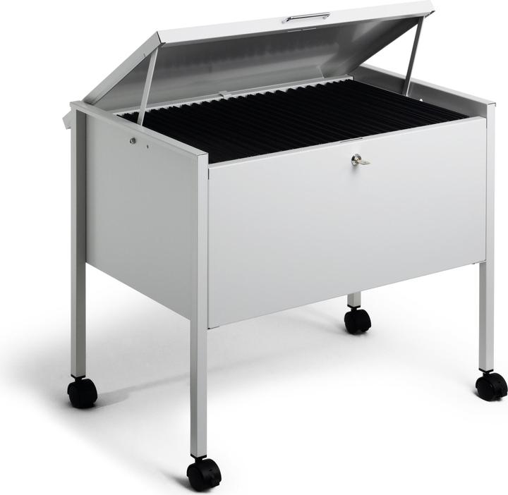 Produktbild Durable ECONOMY HÄNGEMAPPENWAGEN 80 A4 TOP 1 ST 309810