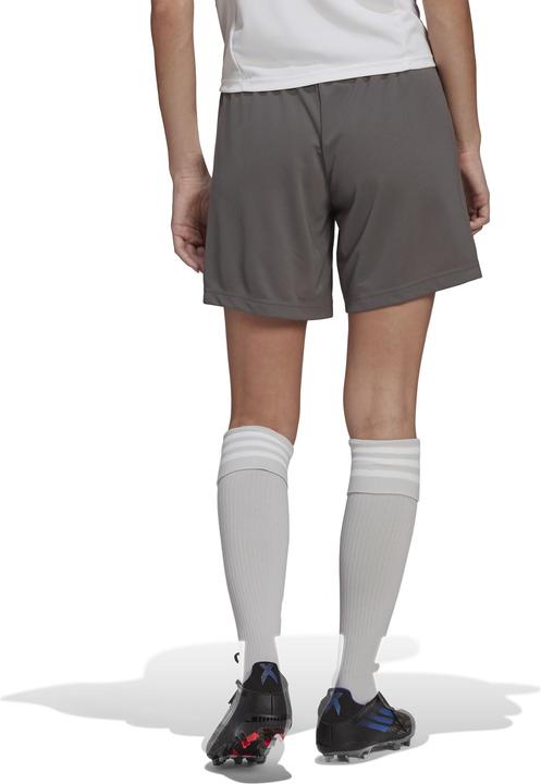 Actual product image adidas Ladies Shorts Entrada 22 grey HH9995 (XL) (XL)