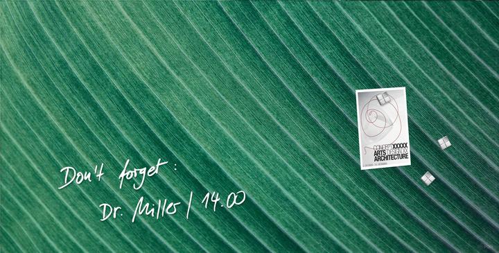 Palm Leaf matt