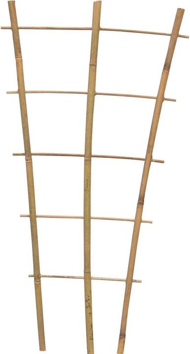 Produktbild Siena Garden Pflanzenhalter (60 cm, 28 cm)