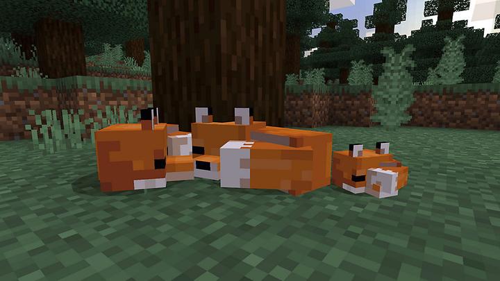 Produktbild Sony Minecraft (PS4, IT)