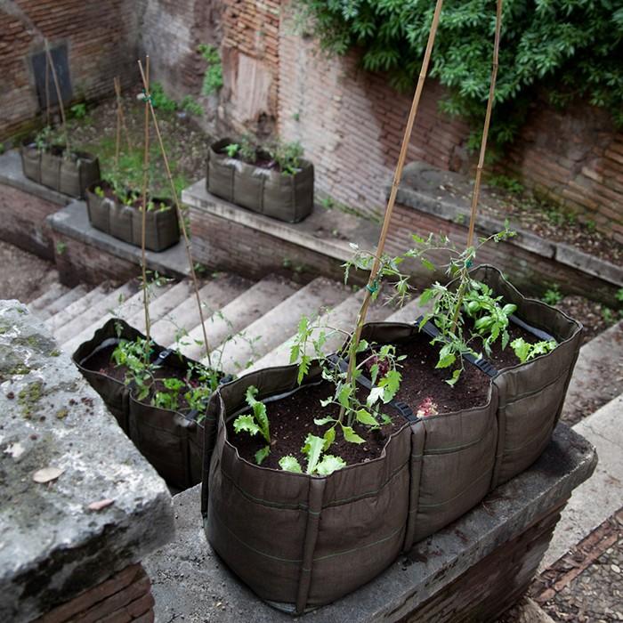 Produktbild Bacsac Pflanzsack Baclong (30 cm)