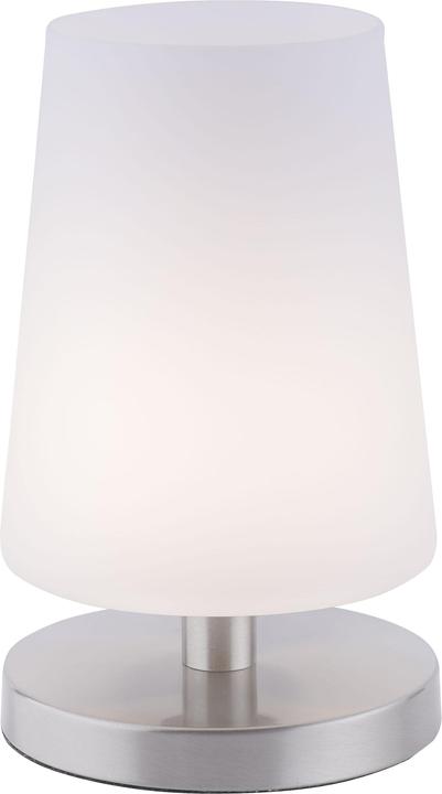 Actual product image Paul Neuhaus steel LED table lamp 3000K 3W (245 lm, G9)