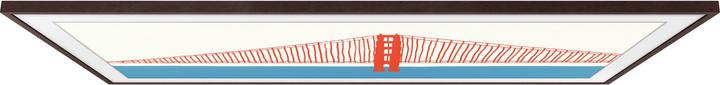 Actual product image Samsung VG-SCFA50BWBXC (Framing system)