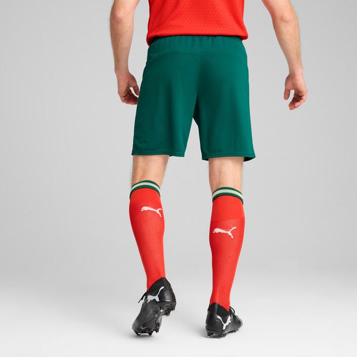 Actual product image Puma FPF Shorts Replica (L)
