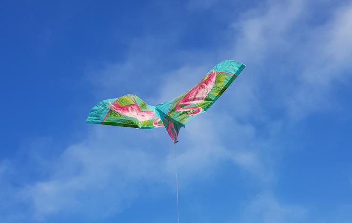 Produktbild Günther Flugspiele Flamingo