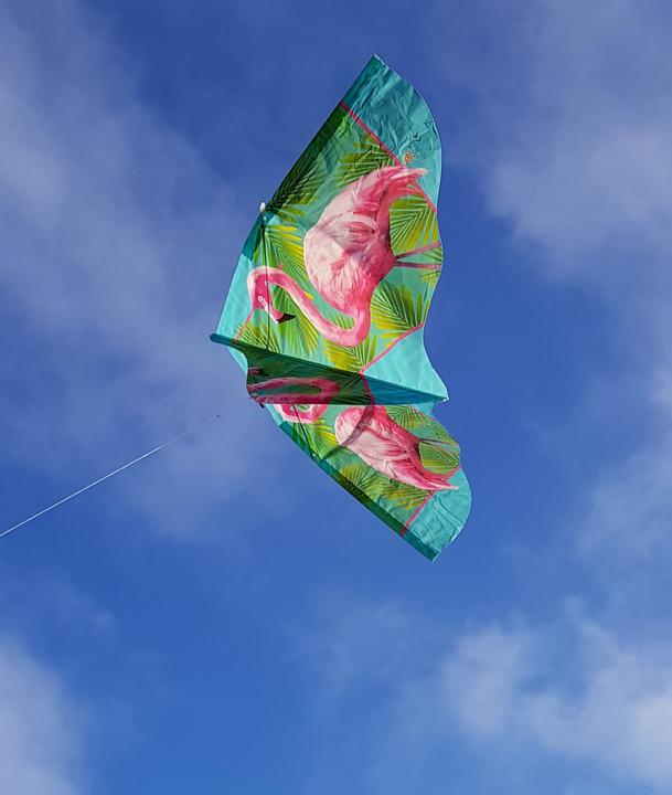 Produktbild Günther Flugspiele Flamingo
