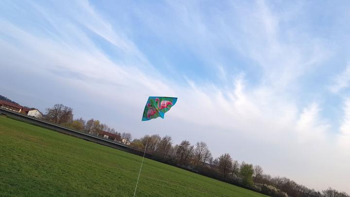 Produktbild Günther Flugspiele Flamingo
