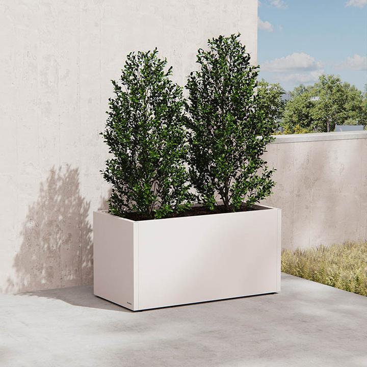 Image du produit Herstera Planter