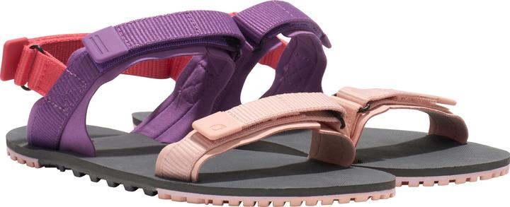 Xero Shoes D-Trail