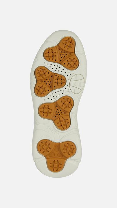 Image du produit Geox baskets nebula (39)