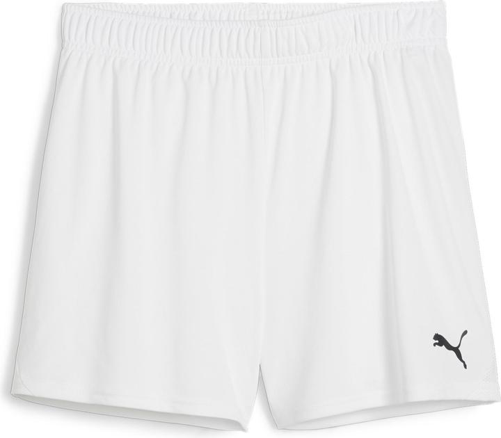 Puma teamGOAL Handball Shorts W