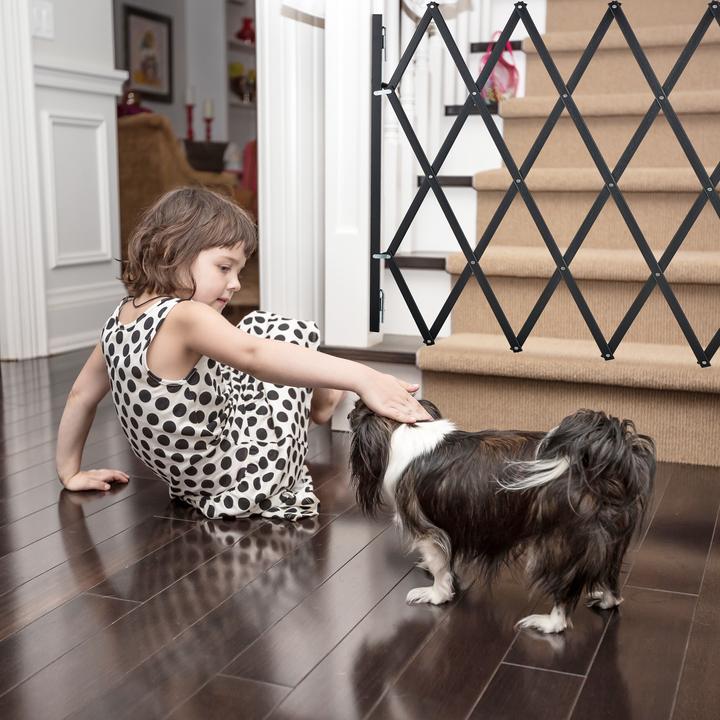 Image du produit Relaxdays Barrière pour chiens (3 cm)