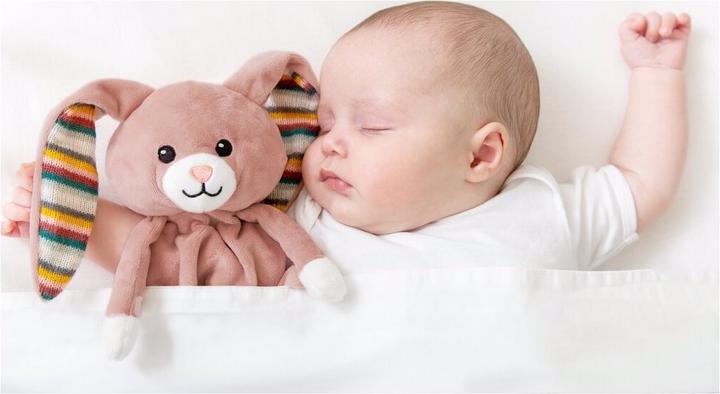 Actual product image ZaZu Cuddle cloth with removable sound module