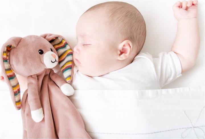 Actual product image ZaZu Cuddle cloth with removable sound module