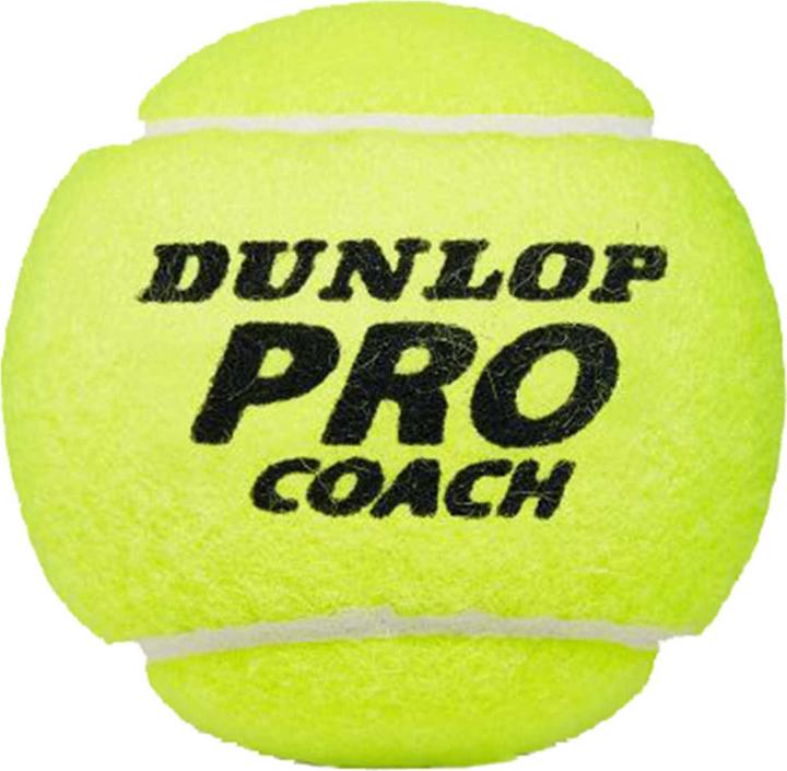 Actual product image Dunlop Pro Coach - 4 can