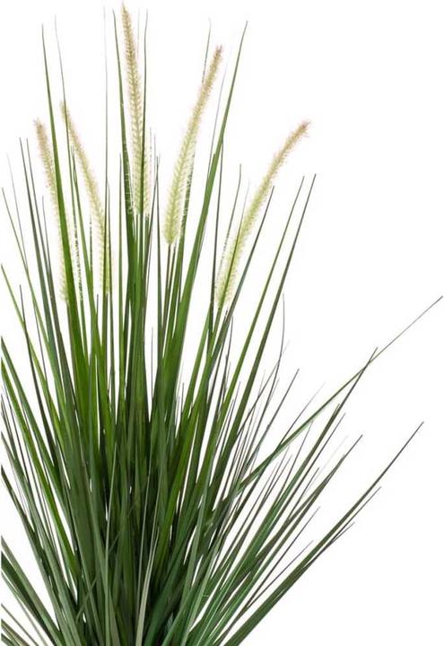 Actual product image Emerald Percival (120 cm)