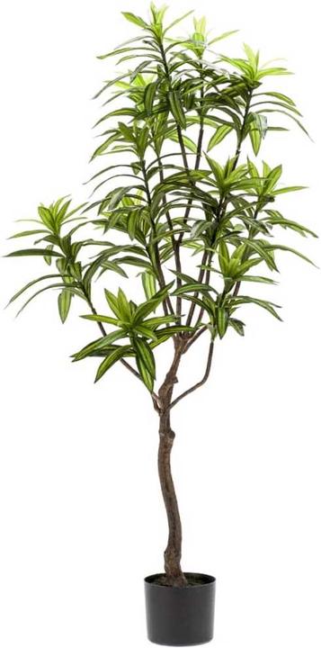 Emerald Brendis (130 cm)