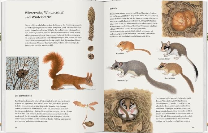 Actual product image Schneehuhn, Reh und Haselmaus (German, Thomas Mueller, 2017)