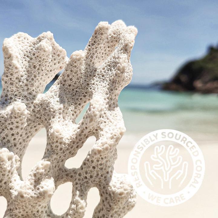Image du produit Effective Nature Corail de mer Sango (1 pièce(s), Poudre, 100 g)