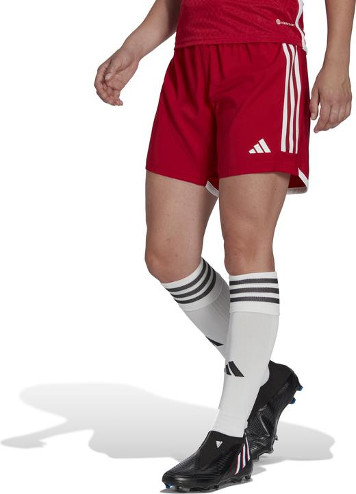 Actual product image adidas Tiro 23 training shorts ladies (S)