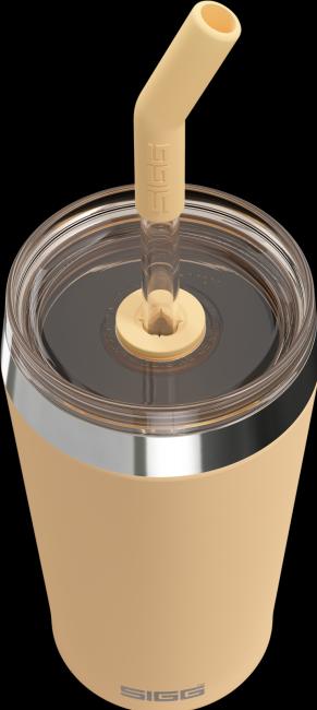 Image du produit Sigg Helia (0.45 l)