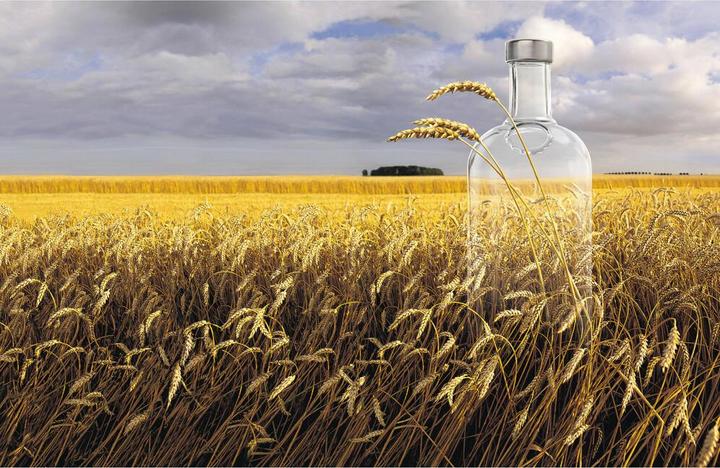 Actual product image Absolut Vodka (1 x 300 cl)
