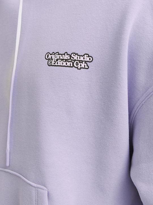 Immagine prodotto Jack & Jones Gedruckt Kapuzenpullover Kapuzenpullover (XS)