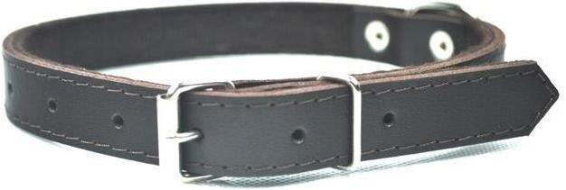 Chaba 600347 Hunde- /Katzenhalsband Leder Hund Standardkragen (Hund)
