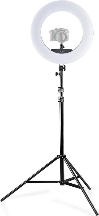 Actual product image Walimex Medow 960 Pro Set incl. lamp tripod (Ring light)