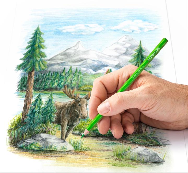 Productafbeelding Staedtler 146C, Metalen etui met 72 kleurpotloden in verschillende kleuren (72 kleuren, 1 x)