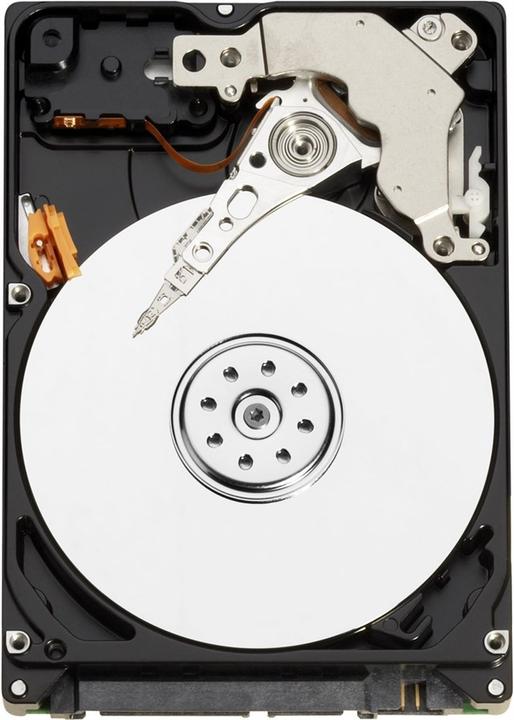 Produktbild WD AV-25 (0.32 TB, 2.5", CMR)