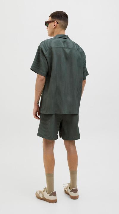 Actual product image Jack & Jones Regular Fit Relaxed Fit Shorts Relaxed Fit Shorts (XS)