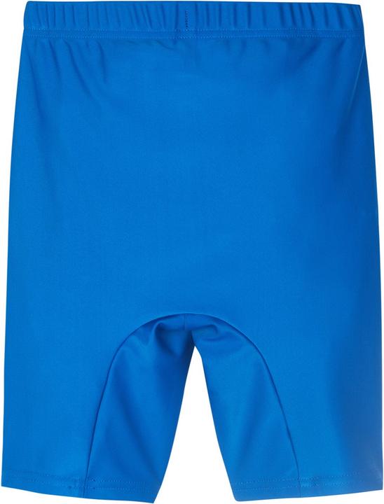 Actual product image Reima Toddlers swim shorts Pulahdus (62)