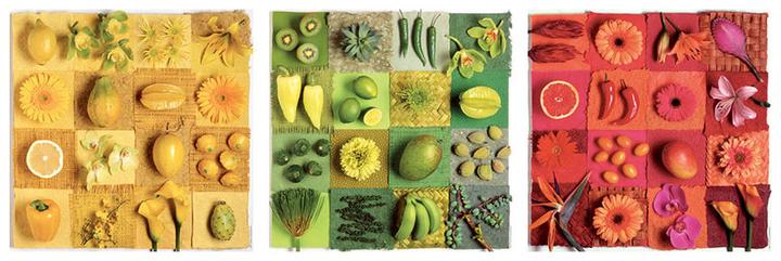 Produktbild Educa Exotische Früchte & Blumen (500 Teile)