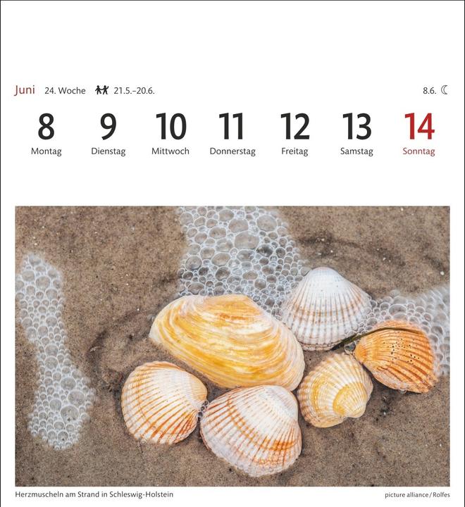 Produktbild Nordseeküste Sehnsuchtskalender 2026 - Wochenkalender mit 53 Postkarten (Harter Einband, Deutsch)