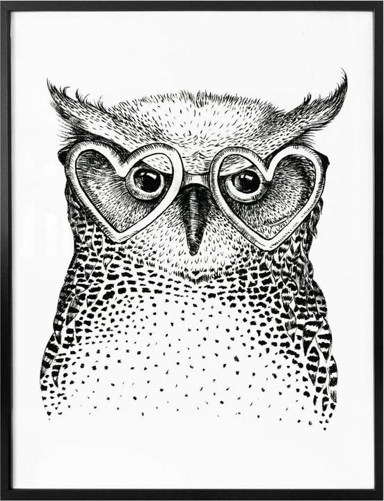 Image du produit Trenddeko Kvilis - Le petit hibou geek (30 x 40 cm)