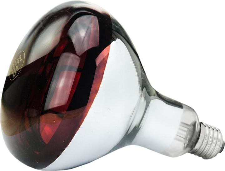 Actual product image Philips 22315 Tempered glass lamp (150 W)